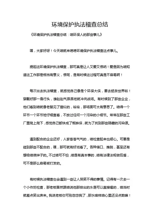 环境保护执法稽查总结