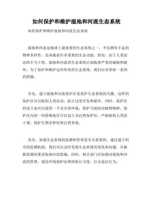 如何保护和维护湿地和河流生态系统 