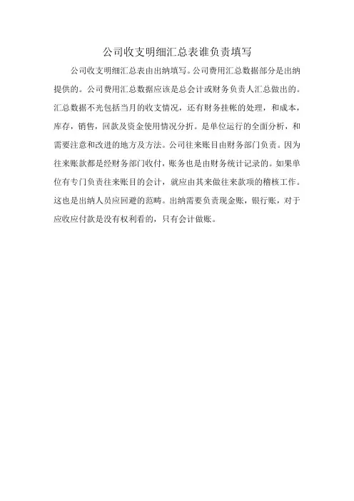 公司收支明细汇总表谁负责填写