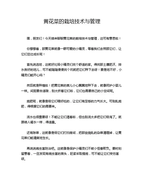 黄花菜的栽培技术与管理