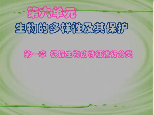 八年级生物第一节 尝试对生物进行分类课件人教版(共38张PPT)