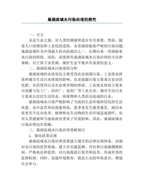 巢湖流域水污染治理的研究