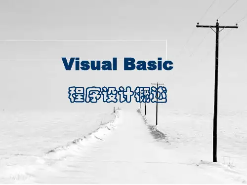 Visual Basic程序设计 第1-2章