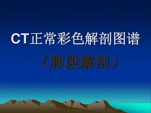 CT正常彩色解剖图谱ppt课件