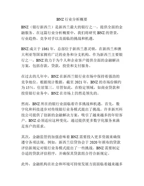BNZ行业分析概要
