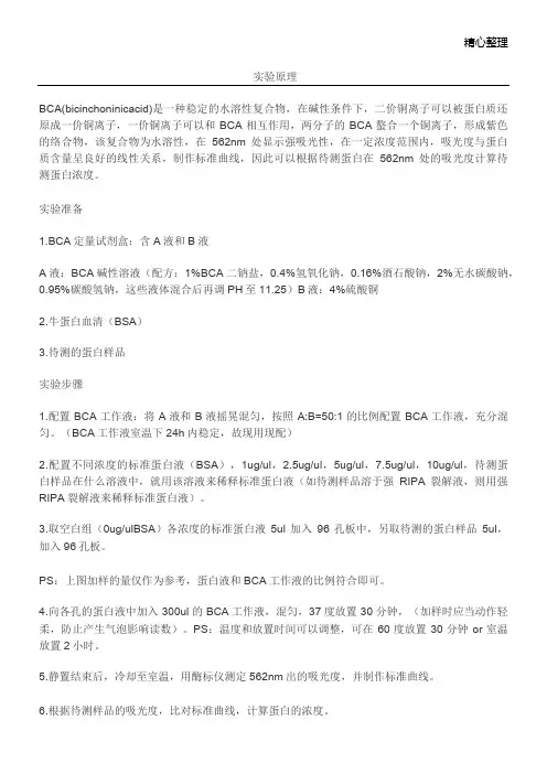 蛋白质定量：(BCA法)