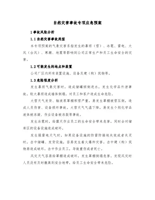 自然灾害事故专项应急预案(二篇)
