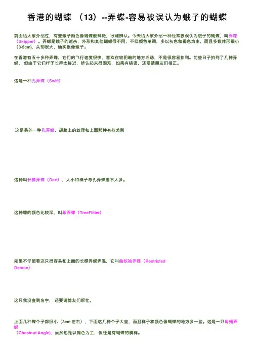 香港的蝴蝶