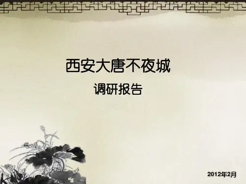大唐不夜城景观调研