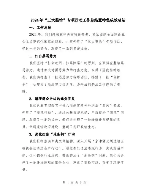 2024年“三大整治”专项行动工作总结暨特色成效总结