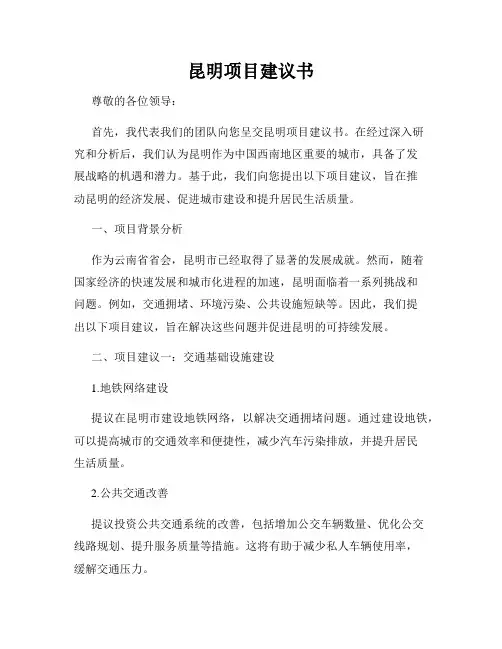 昆明项目建议书