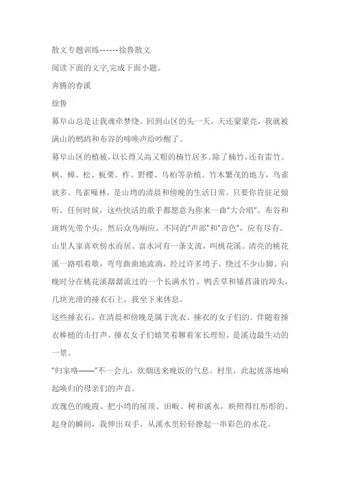2024届高考语文复习：散文专题训练徐鲁散文(含解析)