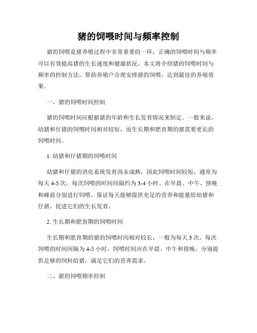 猪的饲喂时间与频率控制
