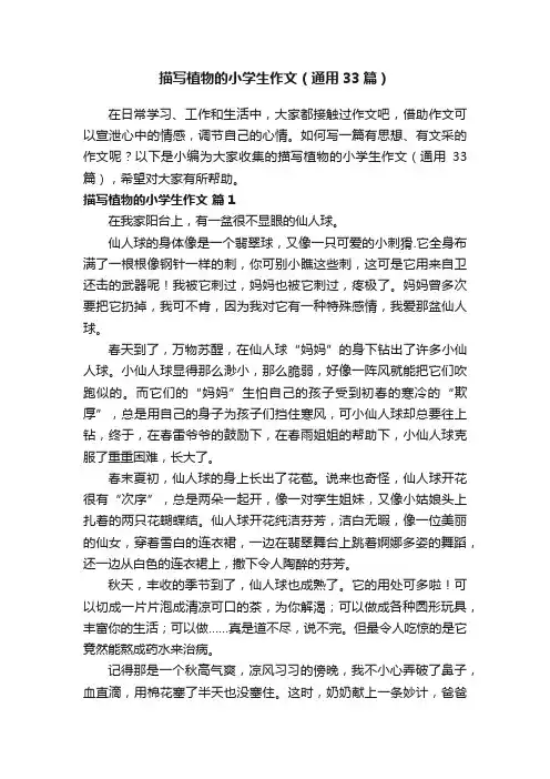描写植物的小学生作文（通用33篇）