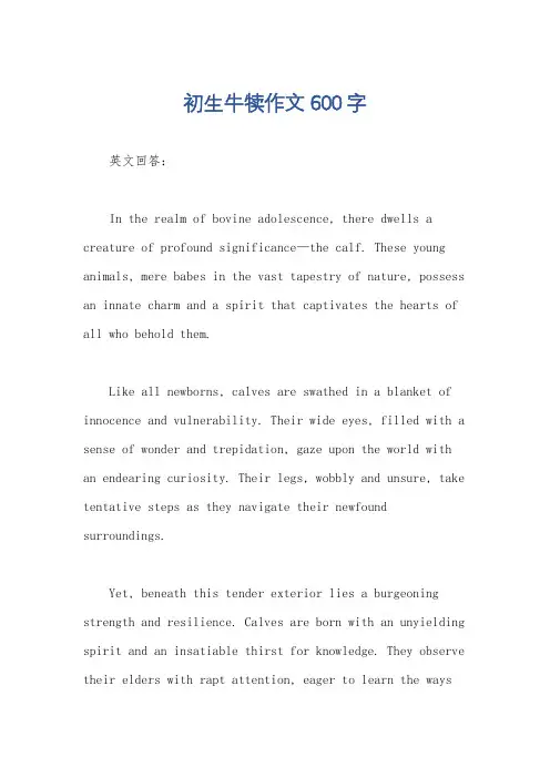 初生牛犊作文600字