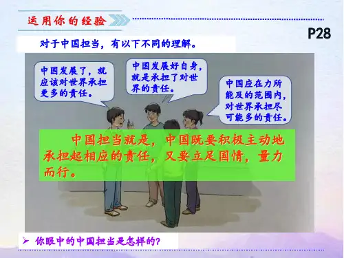 3.1中国担当