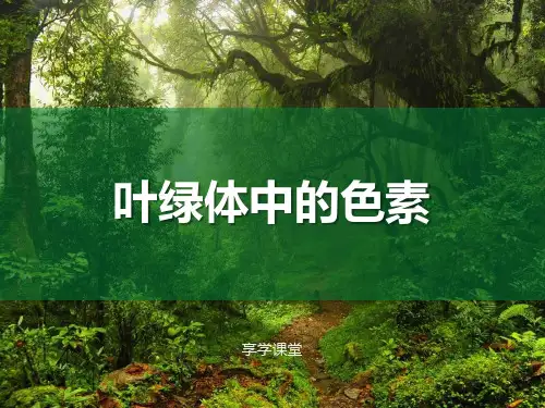 叶绿体中的色素(基础类)