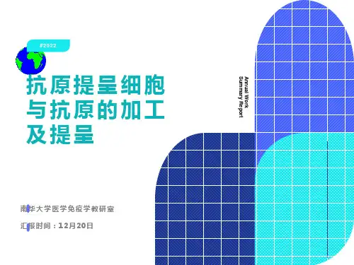 医学免疫学-APC与抗原的加工及提呈