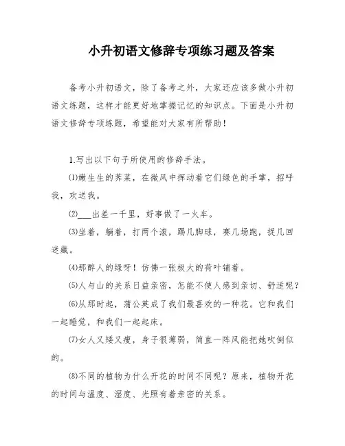 小升初语文修辞专项练习题及答案