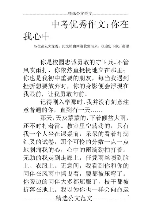 中考优秀作文：你在我心中