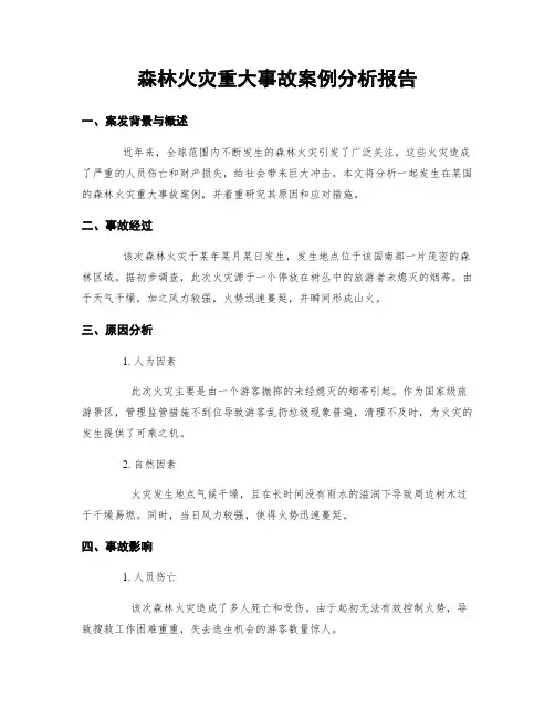 森林火灾重大事故案例分析报告