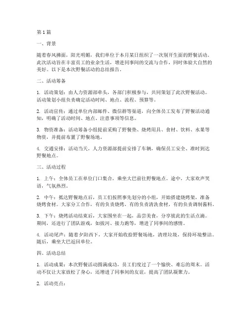 野餐总结报告范文(3篇)