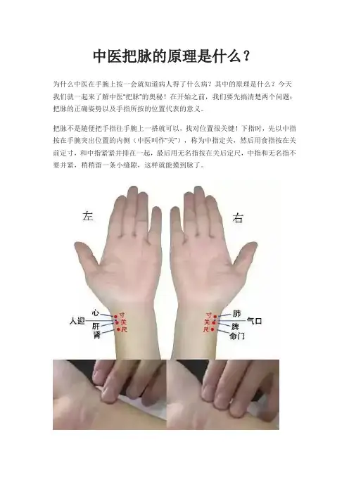 中医把脉的原理是什么