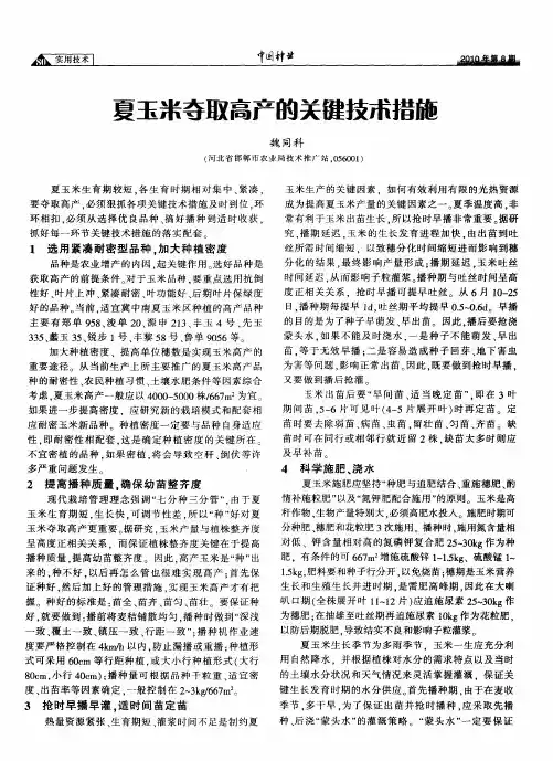 夏玉米夺取高产的关键技术措施
