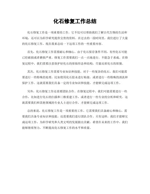 化石修复工作总结