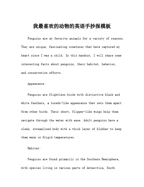 我最喜欢的动物的英语手抄报模板