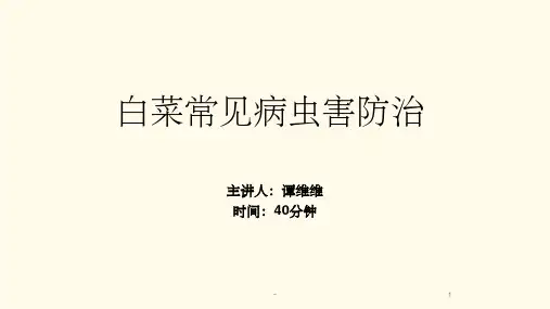 白菜常见病虫害防治 ppt
