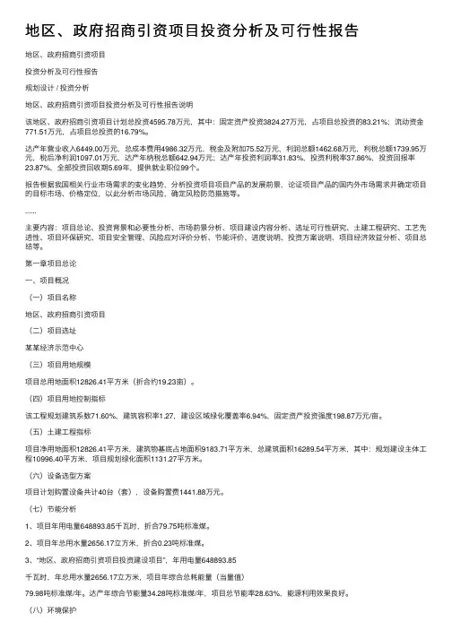 地区、政府招商引资项目投资分析及可行性报告