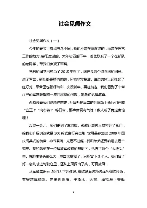社会见闻作文