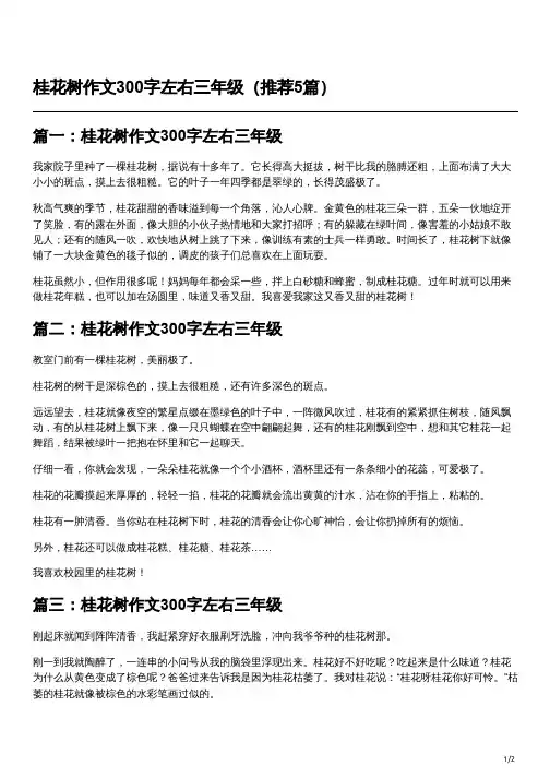 桂花树优秀作文300字三年级