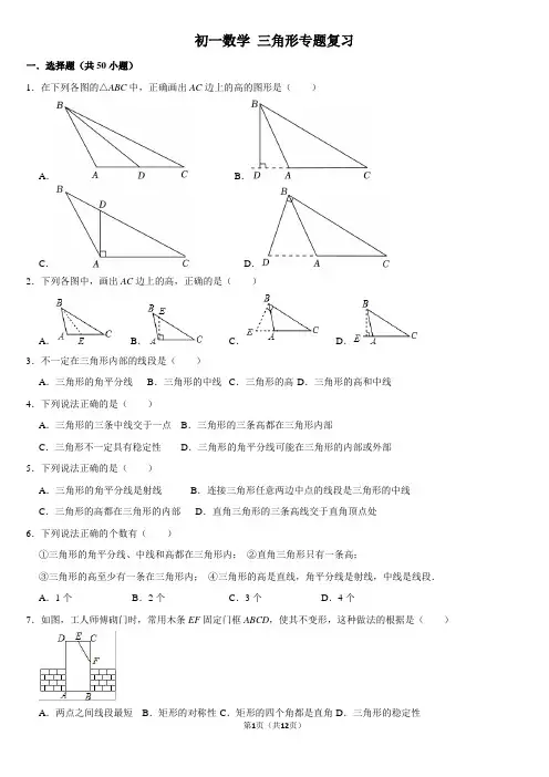 初一数学 三角形专题复习