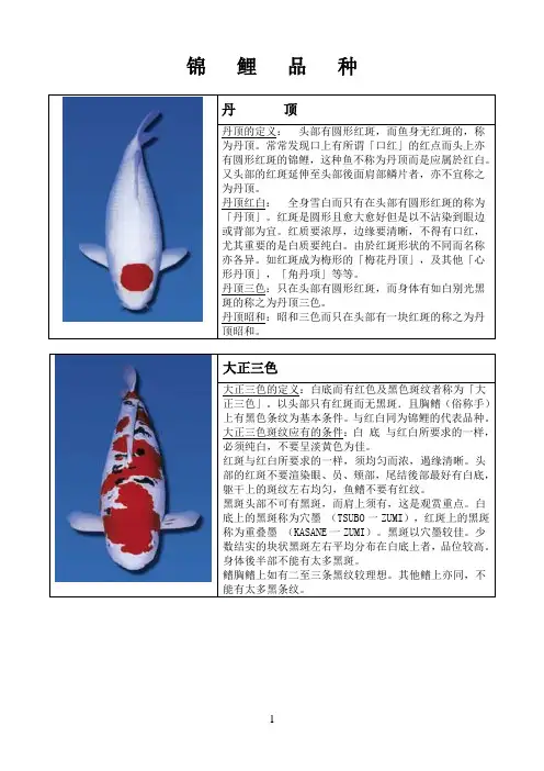 锦鲤品种
