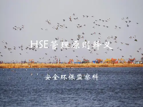 HSE管理原则