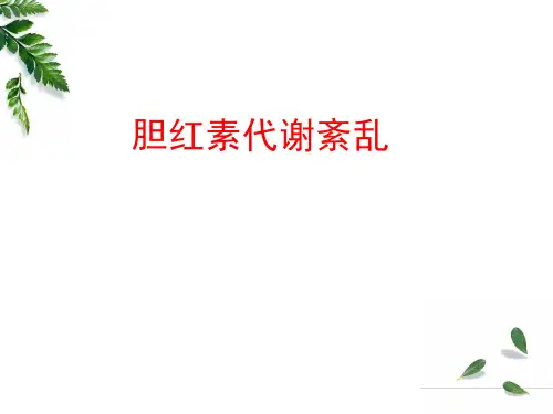 胆红素代谢紊乱