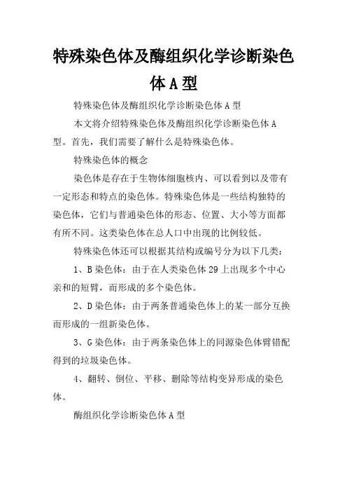 特殊染色体及酶组织化学诊断染色体A型