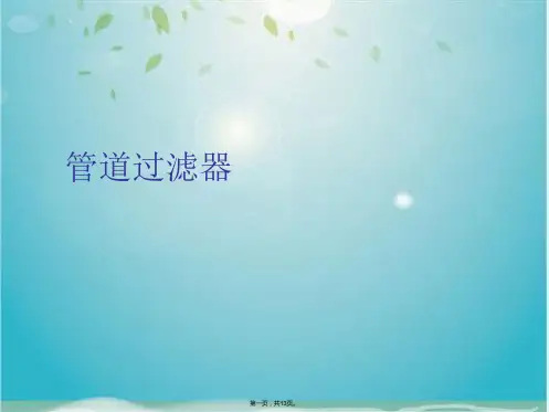 管道过滤器(共13张PPT)