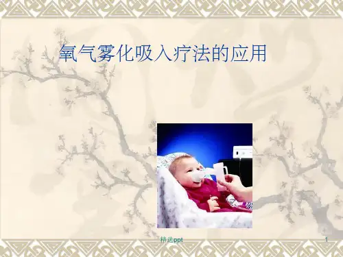 《氧气雾化吸入疗法》PPT课件