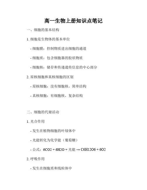 高一生物上册知识点笔记