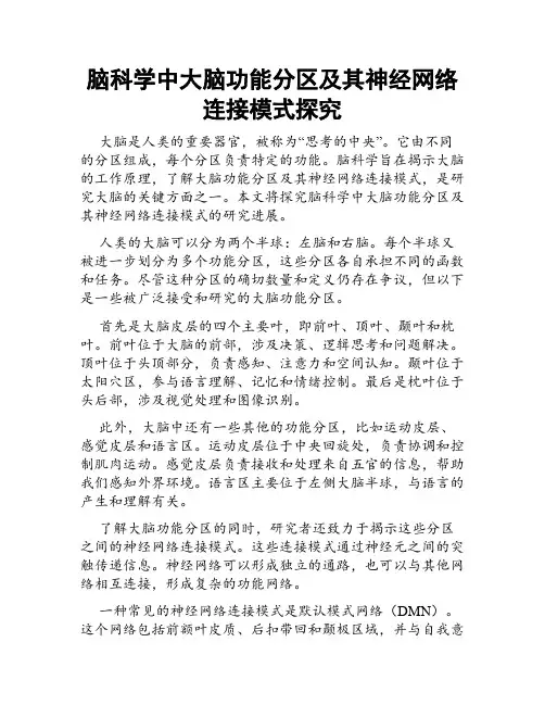 脑科学中大脑功能分区及其神经网络连接模式探究