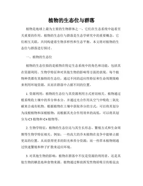 植物的生态位与群落