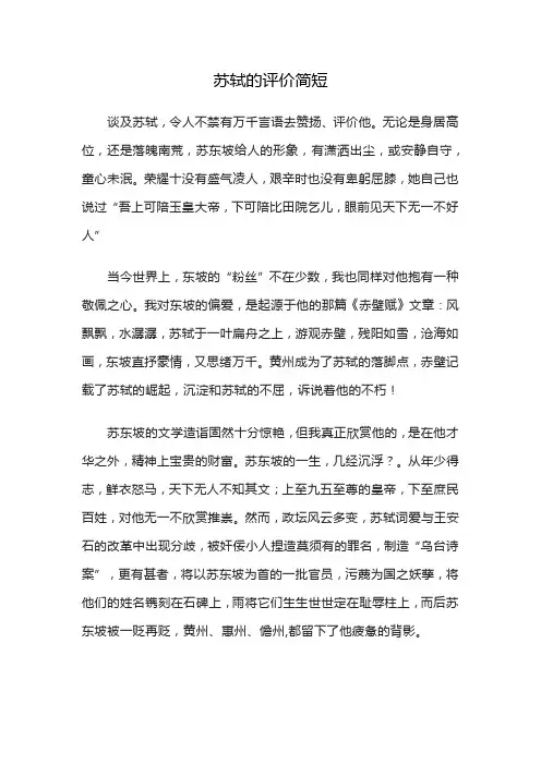 苏轼的评价简短