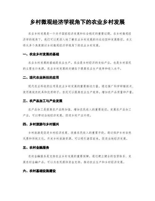 乡村微观经济学视角下的农业乡村发展