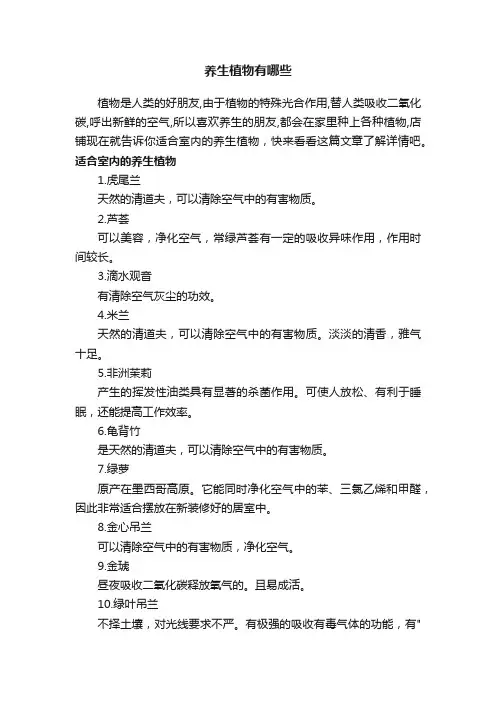 养生植物有哪些