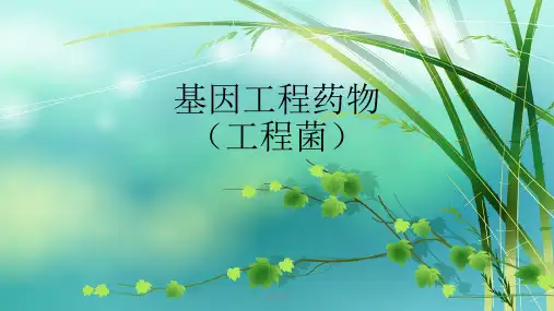 基因工程药物  ppt课件