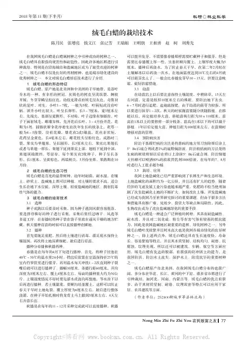 绒毛白蜡的栽培技术