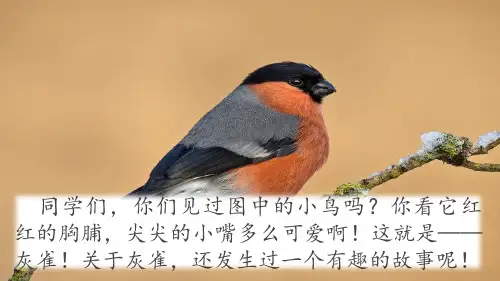 部编三上26《灰雀》优质课件
